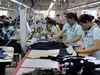 VCCI đề xuất nhiều cơ chế đột phá cho doanh nghiệp nhỏ và vừa