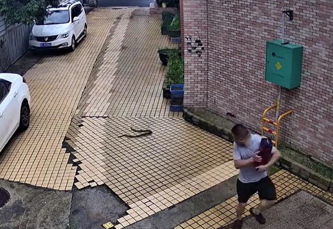Người đàn ông thoát chết khó tin khi rắn hổ mang bất ngờ lao tới tấn công