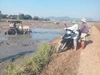 Xã Thần Lĩnh: Tăng cường chỉ đạo, quyết tâm hoàn thành kế hoạch vụ Hè Thu
