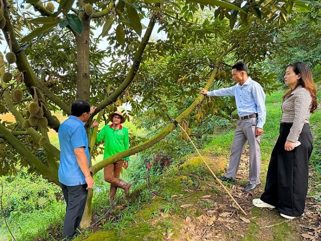 Đam Rông 2: Khơi sức dân trên hành trình xây dựng nông thôn mới