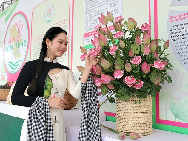 Khi sen trở thành 'đại sứ' giúp địa phương vươn tầm quốc tế