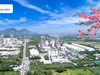 Xi măng Long Sơn Thanh Hoá: Khẳng định vị thế vững chắc trên thị trường