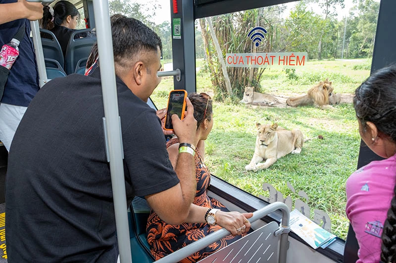 Tour nhốt người thả thú luôn nằm trong danh sách “phải thử”của du khách khi đến Phú Quốc. Tour nhốt người thả thú luôn nằm trong danh sách “phải thử”của du khách khi đến Phú Quốc.