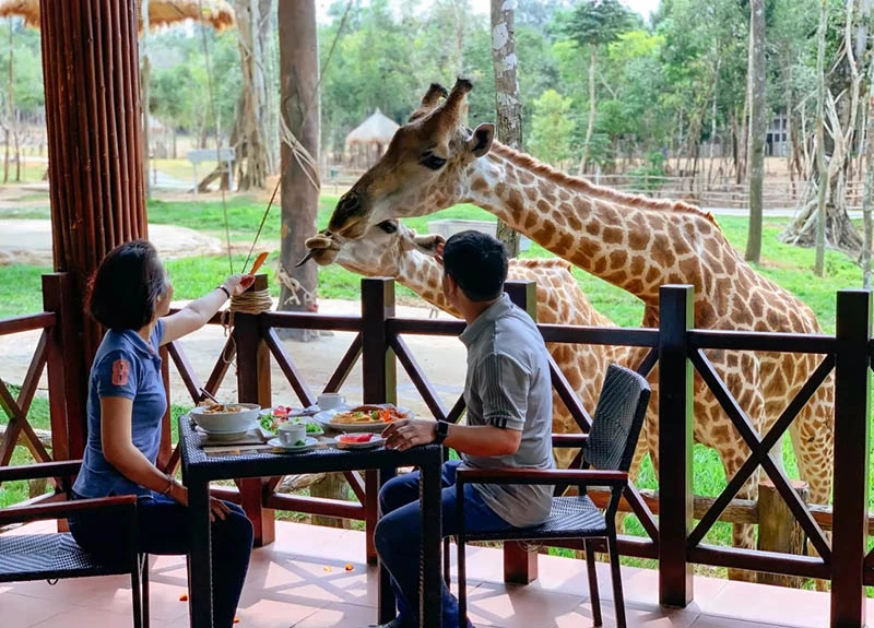 Trải nghiệm ẩm thực giữa không gian thiên nhiên tại Vinpearl Safari Phú Quốc. Trải nghiệm ẩm thực giữa không gian thiên nhiên tại Vinpearl Safari Phú Quốc.