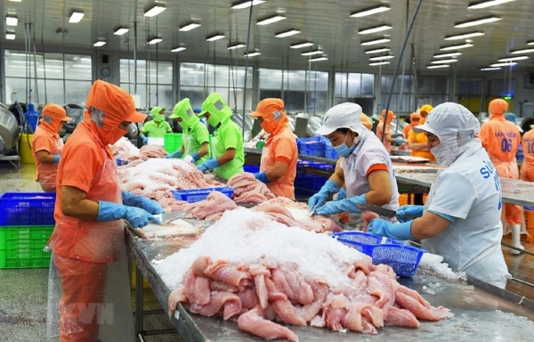 Doanh nghiệp thủy sản đối mặt loạt rào cản trong mùa cao điểm sản xuất