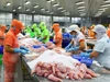 Doanh nghiệp thủy sản đối mặt loạt rào cản trong mùa cao điểm sản xuất