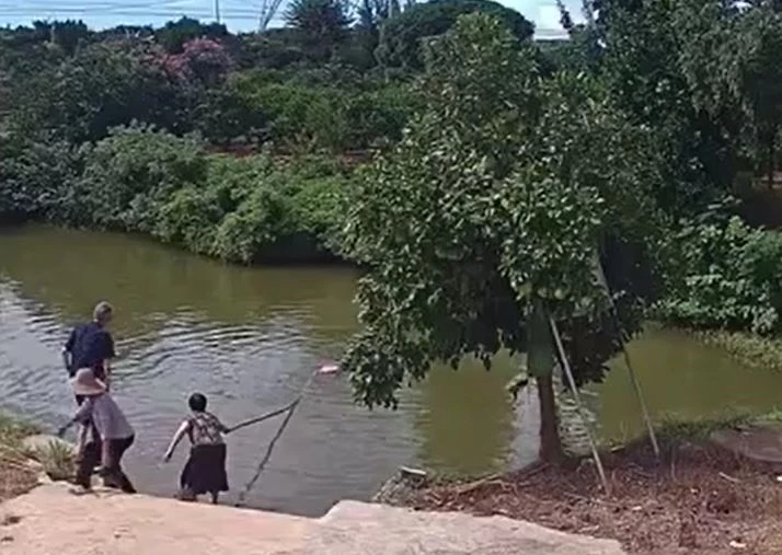 Ảnh cắt từ clip.
