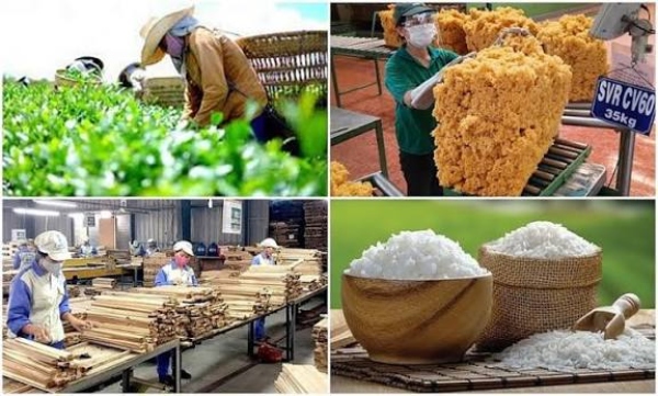 Kinh tế duy trì đà phục hồi tích cực