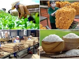 Kinh tế duy trì đà phục hồi tích cực