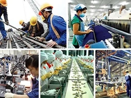 Gặp khó trong sản xuất kinh doanh, doanh nghiệp kiến nghị gỡ vướng