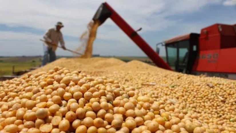 Trung Quốc tăng mua đậu tương Mỹ khi quan hệ thương mại dần cải thiện