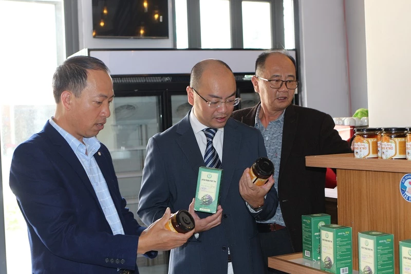 Ông Sử Thanh Hoài - Cố vấn Hội Doanh nghiệp Lạc Dương (bìa trái), giới thiệu sản phẩm đặc trưng của địa phương với Tổ chức Phát triển Hà Lan (SNV). 