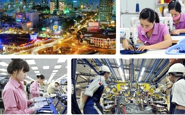 Doanh nghiệp tiên phong cần trở thành lực lượng dẫn dắt