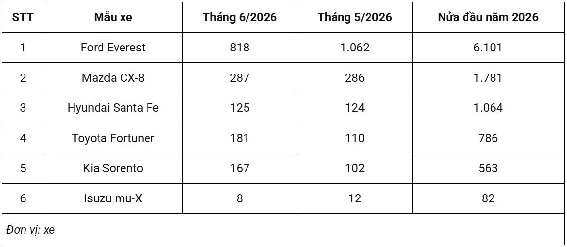 Doanh số xe SUV hạng D tại Việt Nam 6 tháng đầu năm 2026.