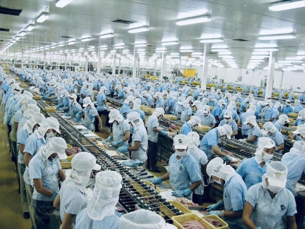 Xuất khẩu thuỷ sản: Mục tiêu 12 tỷ USD phụ thuộc nhiều biến số