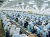 Xuất khẩu thuỷ sản: Mục tiêu 12 tỷ USD phụ thuộc nhiều biến số