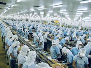 Xuất khẩu thuỷ sản: Mục tiêu 12 tỷ USD phụ thuộc nhiều biến số
