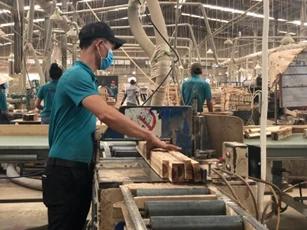 Ngành gỗ không thể cạnh tranh mãi bằng nguyên liệu giá rẻ