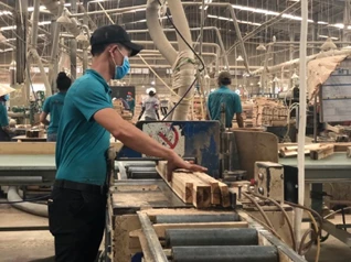 Ngành gỗ không thể cạnh tranh mãi bằng nguyên liệu giá rẻ