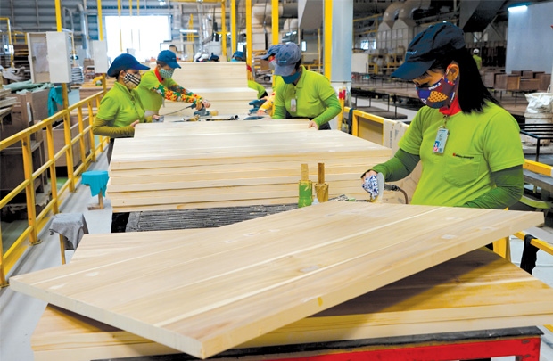 Doanh nghiệp ngành gỗ 'khát' nguyên liệu chất lượng