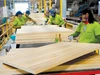 Doanh nghiệp ngành gỗ 'khát' nguyên liệu chất lượng