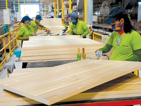 Doanh nghiệp ngành gỗ 'khát' nguyên liệu chất lượng