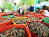 Mỹ áp thuế bổ sung: Doanh nghiệp thuỷ sản cần thích ứng ra sao?