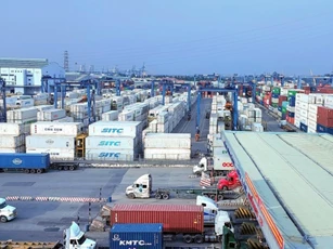 VASEP kiến nghị phát triển đội tàu container lạnh của Việt Nam