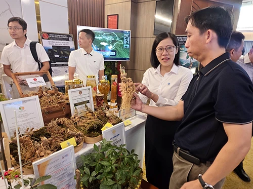 và các sản phẩm sâm Ngọc Linh trưng bày tại hội thảo. và các sản phẩm sâm Ngọc Linh trưng bày tại hội thảo.