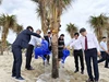 Đà Nẵng trồng 20 cây dừa do quận Hamyang trao tặng