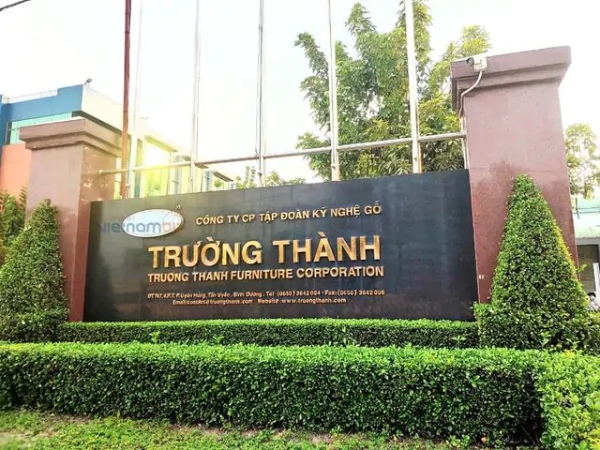 Gỗ Trường Thành TTF lỗ nặng

