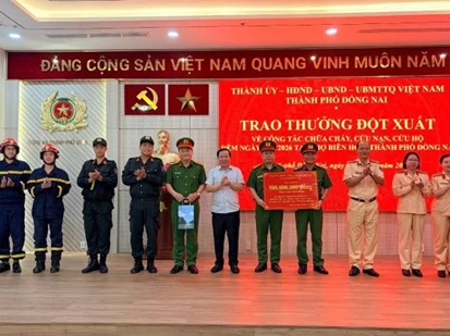 TP Đồng Nai: Khen thưởng đột xuất các đơn vị tham gia chữa cháy