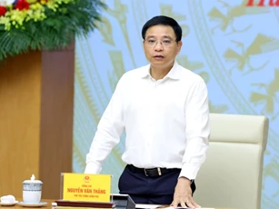 Phó Thủ tướng: 'Không để vướng mắc làm ảnh hưởng đến hoạt động của doanh nghiệp’
