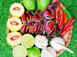 Từ chỗ bị xem thường thành “lộc rừng” nuôi sống người dân ven biển