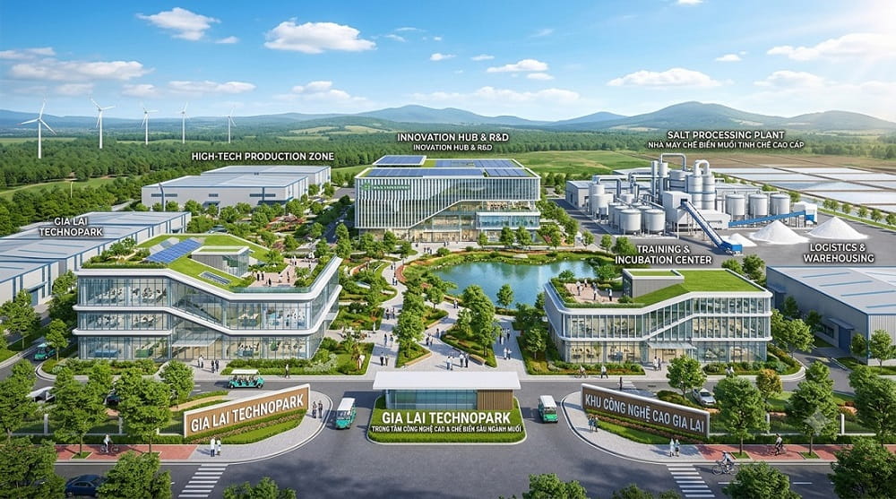 Gia Lai hút đầu tư công nghệ cao, chế biến sâu ngành muối