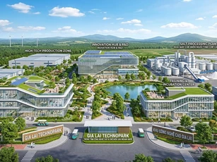 Gia Lai hút đầu tư công nghệ cao, chế biến sâu ngành muối