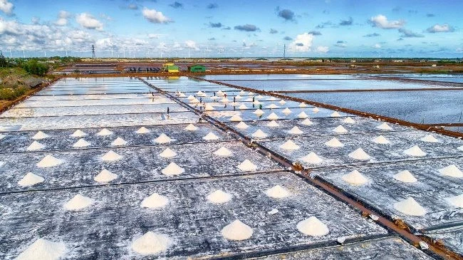 1- Sự kiện còn là dịp quảng bá về nghề làm muối Bạc Liêu - Ảnh: Phan Thanh Cường