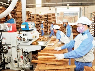 Ngành gỗ làm nhiều, hưởng chưa tương xứng vì chậm chuyển đổi số