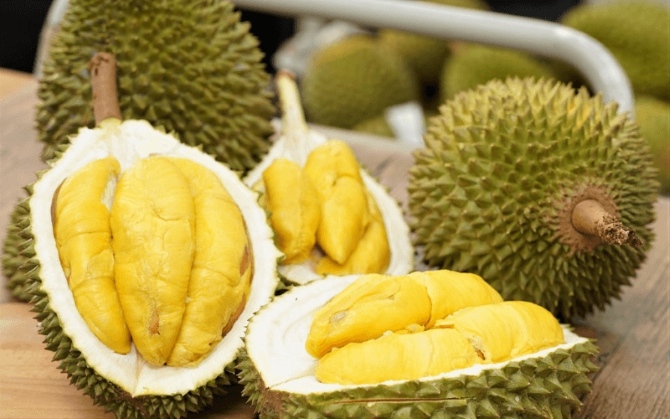 Quản chặt diện tích sầu riêng, tập trung nâng chất lượng
