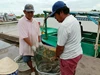 Phan Ngọc Hiển phát huy lợi thế kinh tế biển, mở hướng phát triển bền vững