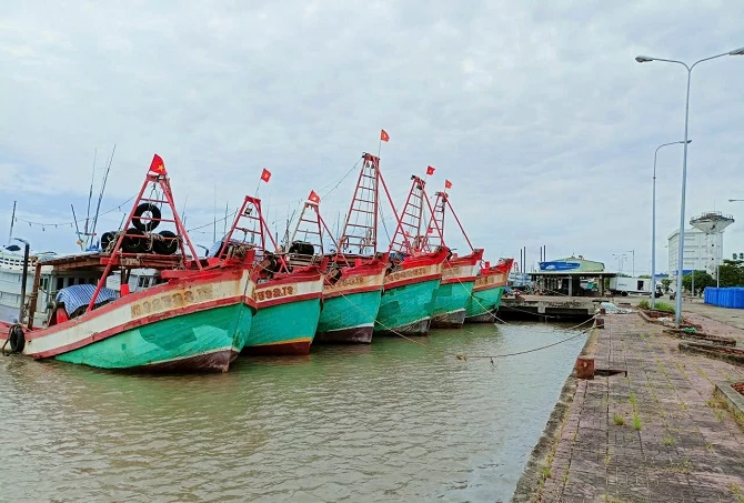 1- Xã Phan Ngọc Hiển có nhiều tiềm năng để phát triển kinh tế biển 1- Xã Phan Ngọc Hiển có nhiều tiềm năng để phát triển kinh tế biển