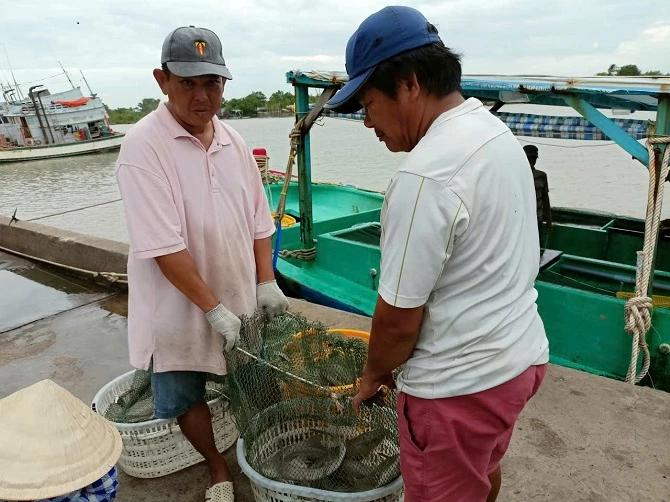 2- Người dân có thêm việc làm tại cảng cá Rạch Gốc 2- Người dân có thêm việc làm tại cảng cá Rạch Gốc