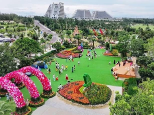 Gia Lai khai hội ngàn hoa, đưa sắc màu đại ngàn về phố biển
