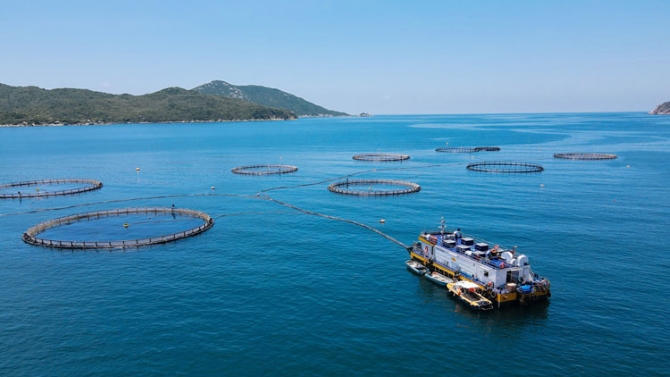 Khoa học, công nghệ tạo động lực đưa Việt Nam thành quốc gia biển mạnh
