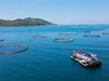 Khoa học, công nghệ tạo động lực đưa Việt Nam thành quốc gia biển mạnh