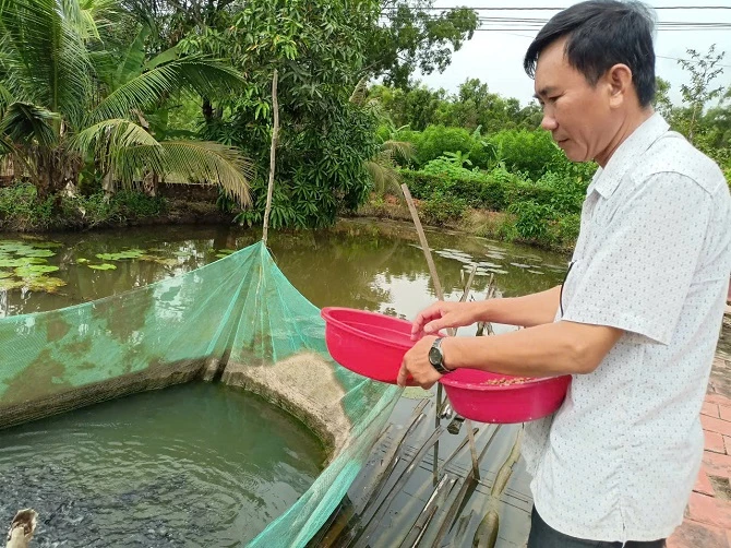 3- Nuôi cá đồng được người dân xã Nguyễn Phích quan tâm để phát triển kinh tế gia đình. 3- Nuôi cá đồng được người dân xã Nguyễn Phích quan tâm để phát triển kinh tế gia đình.
