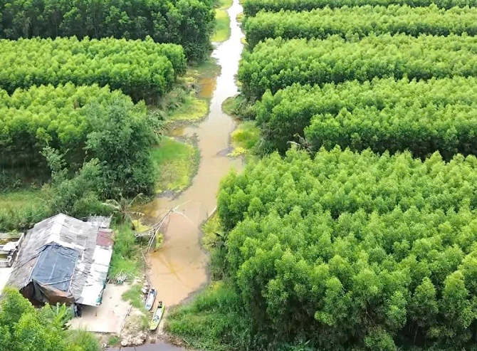 1- Cánh rừng 185ha - nơi anh Nhã hợp đồng để săn bắt
