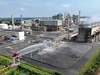 Cà Mau vực dậy tiềm năng phát triển nền công nghiệp xanh
