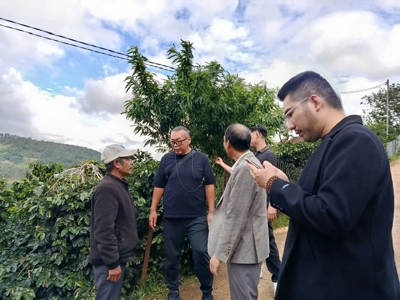 Khảo sát vùng nguyên liệu cà phê arabica. Khảo sát vùng nguyên liệu cà phê arabica.
