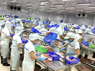 Đồng Tháp đặt mục tiêu có 35.000 doanh nghiệp hoạt động vào năm 2030